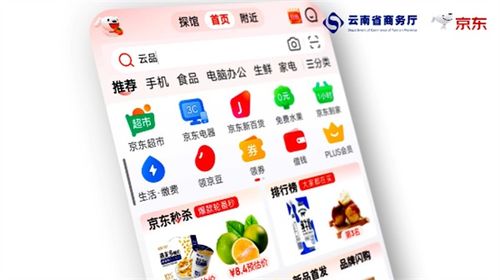四季云品，產地云南 電商年貨節盛典啟幕，點燃新春消費熱情